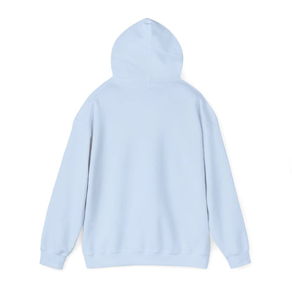 Psalms & Soul Unisex Hoodie | Cozy Christian Streetwear