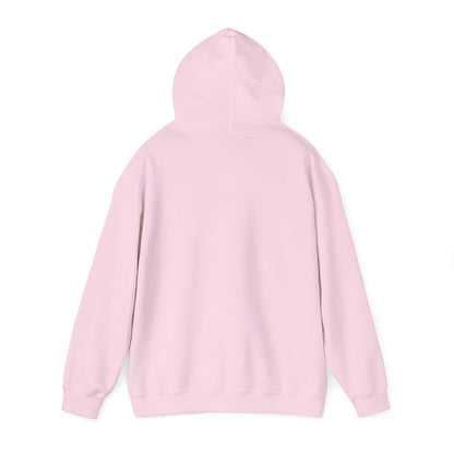 Psalms & Soul Unisex Hoodie | Cozy Christian Streetwear